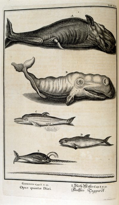 Gravure sur cuivre de 