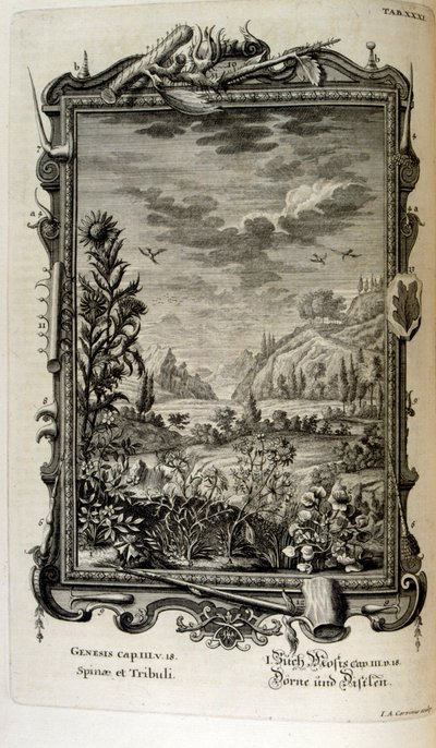 Gravure sur cuivre de 