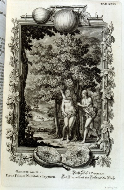 Gravure sur cuivre de 