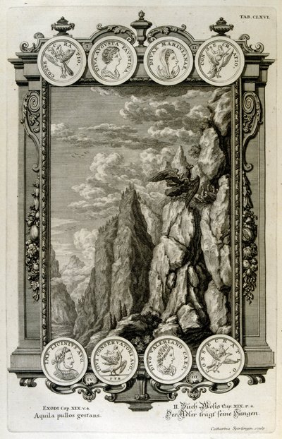 Zeus symbolisé comme un aigle - Johann Jakob Scheuchzer