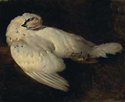 Lagopède mort - Johann Matthias Ranftl