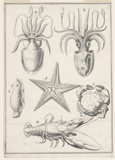 Travail du cinquième jour - Johann Melchior Füssli