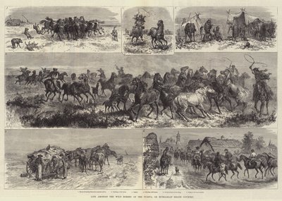 La vie parmi les chevaux sauvages de la Puszta, ou la campagne hongroise - Johann Nepomuk Schonberg