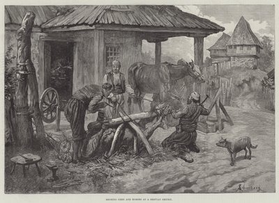 Ferrage de bœufs et de chevaux dans une forge serbe - Johann Nepomuk Schonberg