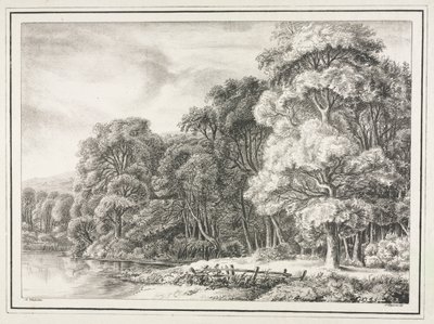 Paysage boisé avec lac - Johann Nepomuk Strixner