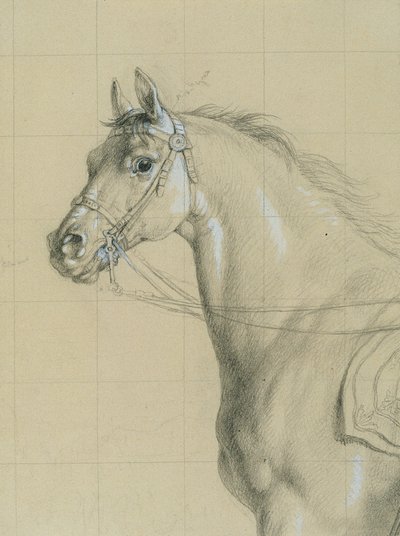 Étude de cheval pour "L