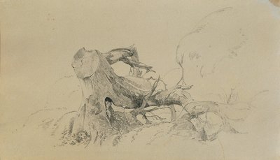 Racines, arbre renversé - Johann Peter Krafft