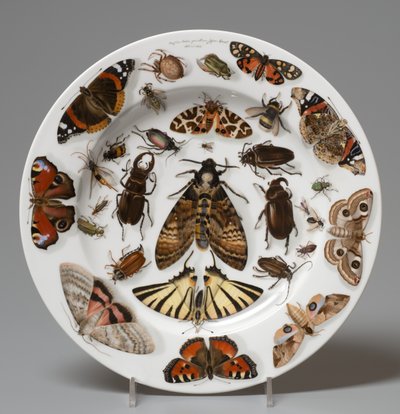 Assiette, Lippert & Haas, Schlaggenwald - Johann Quast