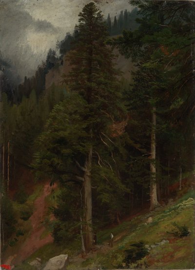 Pente dans une forêt de sapins - Johann Wilhelm Schirmer