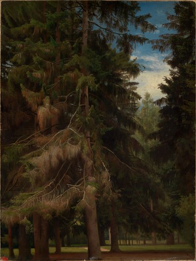  - Johann Wilhelm Schirmer