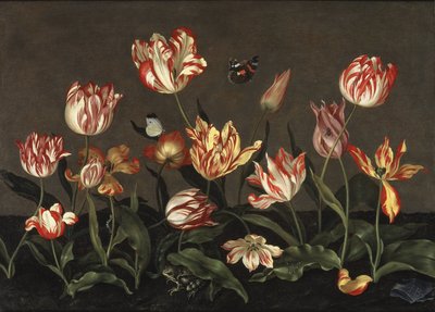Nature morte avec des tulipes - Johannes Bosschaert