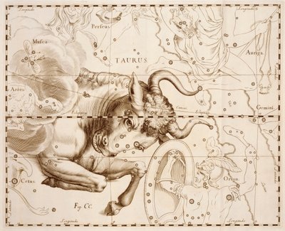 Taureau (signe du zodiaque), gravure de Firmamentum Sobiescianum sive Uranographia - Johannes Hevelius