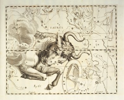 Taureau, constellation du Taureau, gravure de l