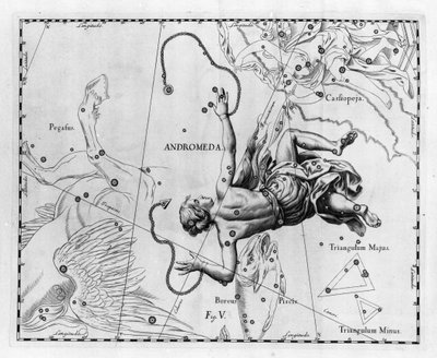 La constellation Andromède. Planche tirée de « Firmamentum Sobiescanum sive Uranographia » par Johannes Hevelius ou Hevel (1611-1687) - Johannes Hevelius