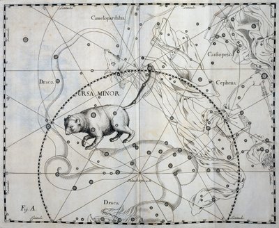 Petite Ourse, constellation boréale de la Petite Ourse, gravure de l