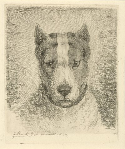 Tête de chien avec collier - Johannes Mock