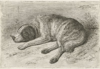 Chien endormi vers la gauche - Johannes Mock
