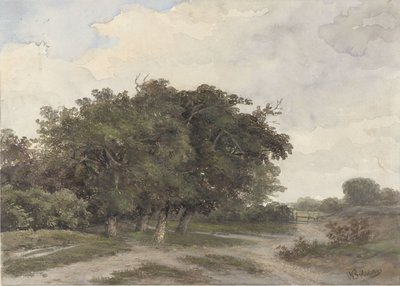 Paysage avec des arbres - Johannes Warnardus Bilders