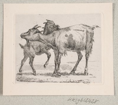 Une chèvre avec son chevreau - Johannes Wilhelm Zillen
