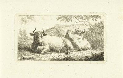 Deux vaches couchées - Johannes van Cuylenburgh