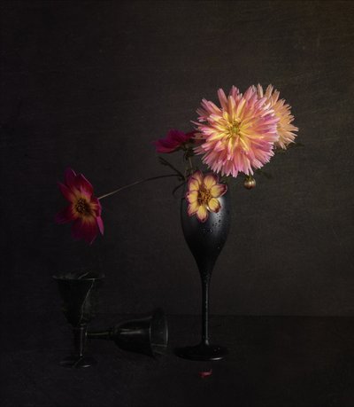 Nature morte « Moody Dahlia » - John-Mei Zhong