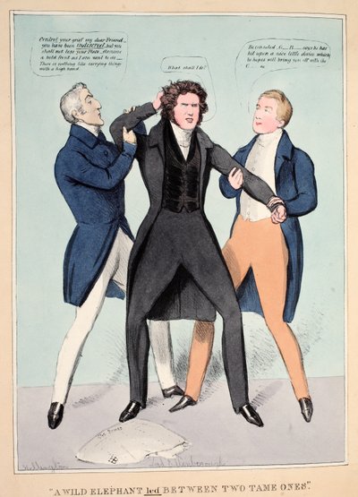 "Un éléphant sauvage conduit entre deux apprivoisés", pub. 1830 - John  Doyle