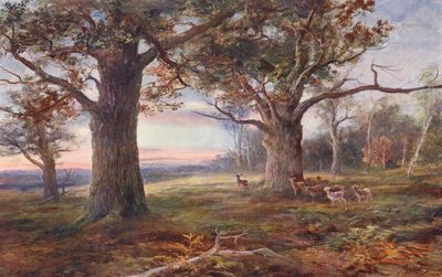 À la lisière de la forêt de Sherwood - John (after) MacWhirter