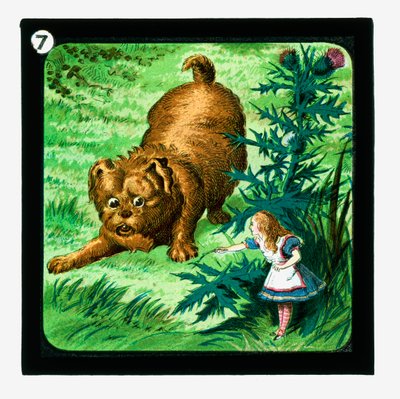 Alice au Pays des Merveilles, Diapositives colorées - John (after) Tenniel