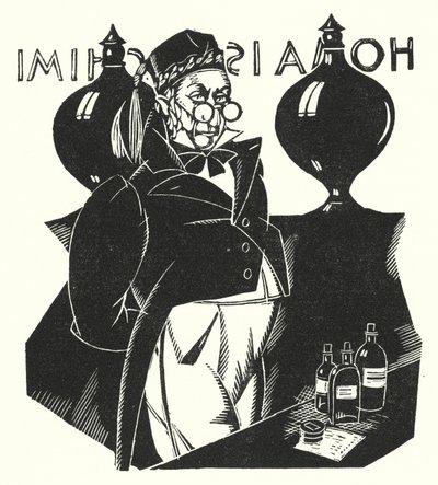 Illustration pour Madame Bovary par Gustave Flaubert - John Austen