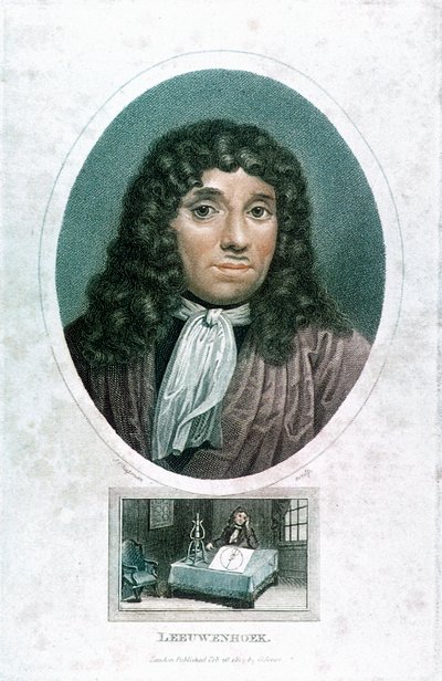Anton van Leeuwenhoek, microscopiste néerlandais - John Chapman