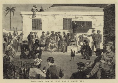 Combat de coqs à Port Louis, Maurice - John Charles Dollman