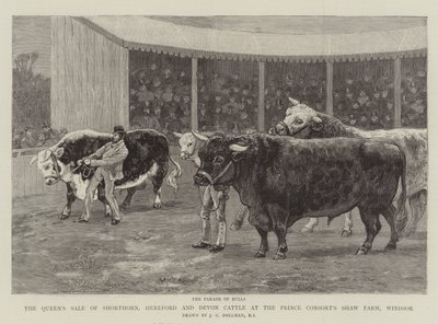 Vente de Shorthorn, Hereford et Devon Cattle de la Reine à la Ferme Shaw du Prince Consort, Windsor - John Charles Dollman