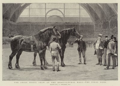 Le concours de chevaux de trait à l