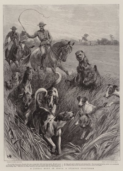 Une chasse au chacal en Inde, un étrange chasseur - John Charlton