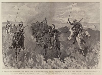 Collecte de fourrage en Afrique du Sud, comment les colons gèrent une équipe de mules réfractaires - John Charlton