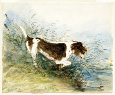 Un chien regardant un rat dans l