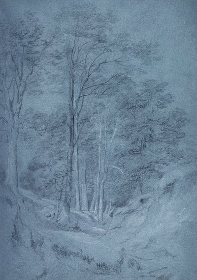 Étude de frêne et autres arbres - John Constable