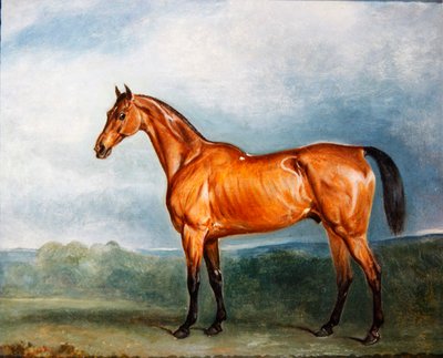 Brin-y-a-Pin dans un paddock - John E. Ferneley