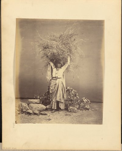 [Jeune paysanne indienne tenant des brindilles sur sa tête] - John Edward Saché