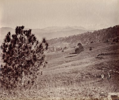 Paysage avec arbre et trois hommes, Inde - John Edward Saché