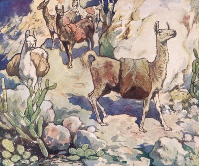 Alpagas sur un chemin de montagne, illustration de 