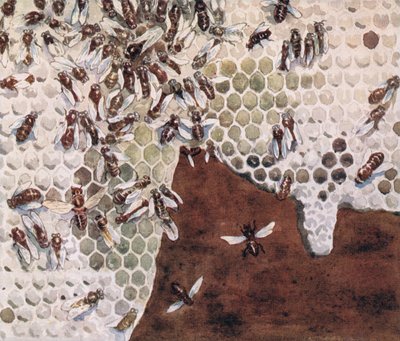 Les Abeilles fabriquant du miel, illustration de 