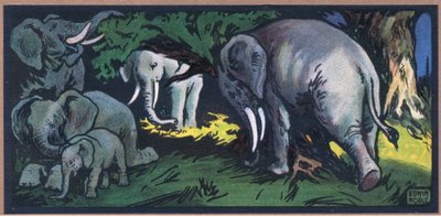 Éléphant dans la nature - John Edwin Noble