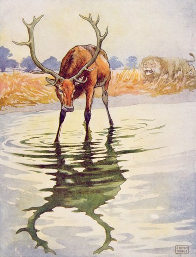 Le cerf et son reflet de 