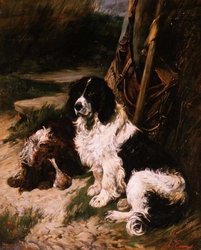 Épagneul Marron et Blanc et Noir et Blanc - John Emms