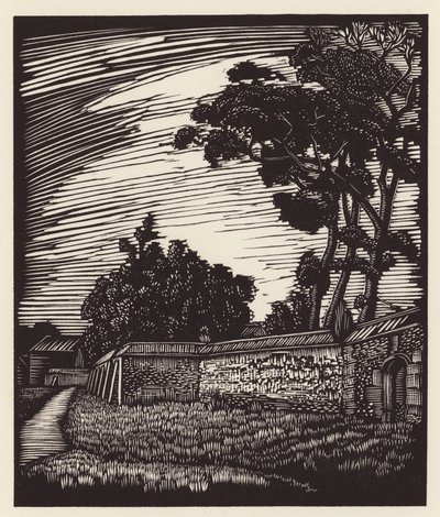 Cambridge : Peterhouse Wall, Coe Fen (gravure sur bois) - John Frederick Greenwood