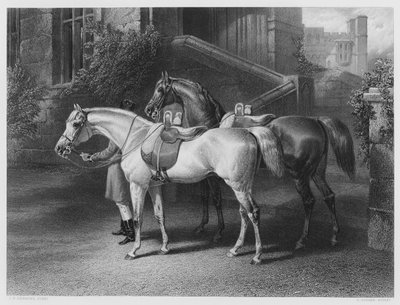 Les Chevaux de la Reine, de l