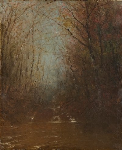 Intérieur de la forêt avec cours d