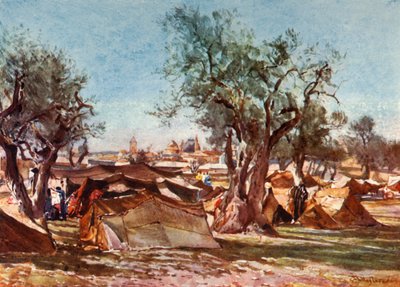 Campement bédouin à l