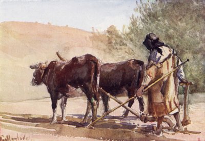 Labourage sur le Mont des Oliviers - John Fulleylove